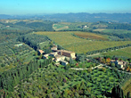 Villa Catignano: the garden